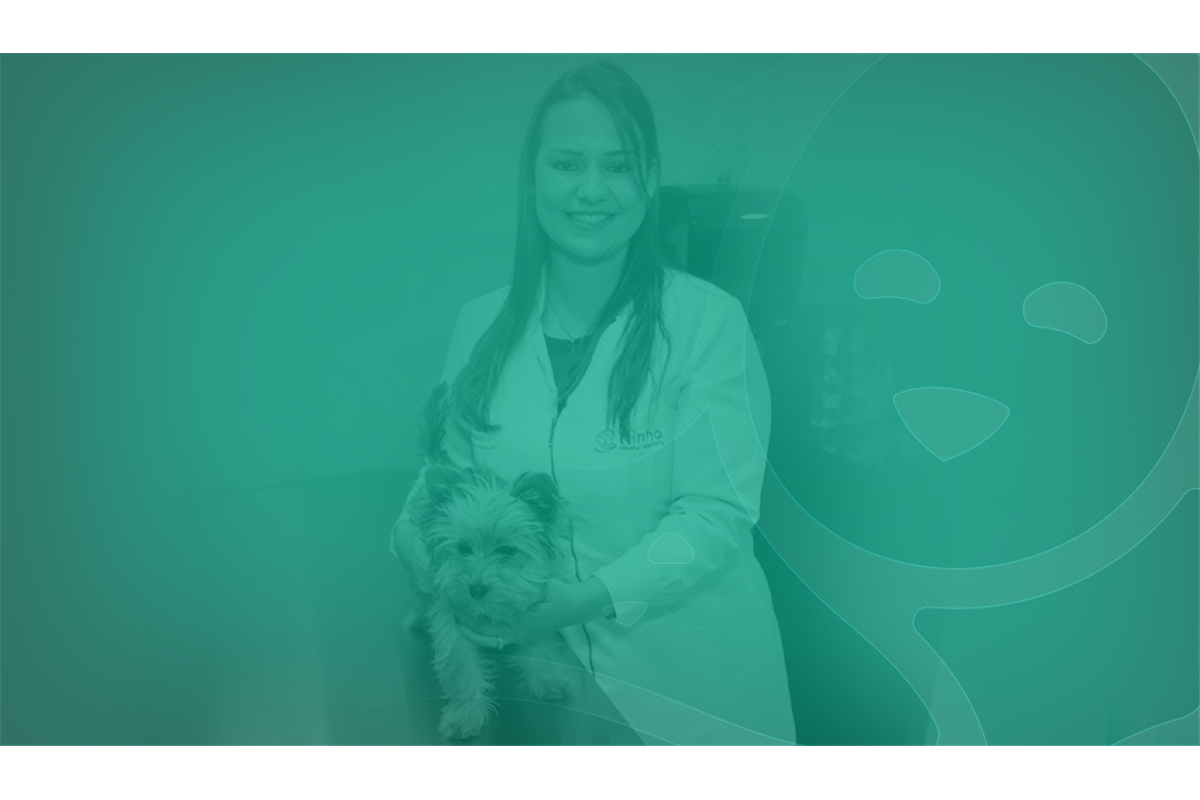 Profissional, especialista e amante dos animais: saiba como escolher o médico veterinário para seu pet